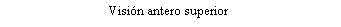Cuadro de texto: Visin antero superior