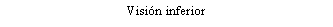 Cuadro de texto: Visin inferior